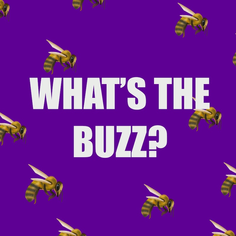 Artwork for podcast What’s the buzz?