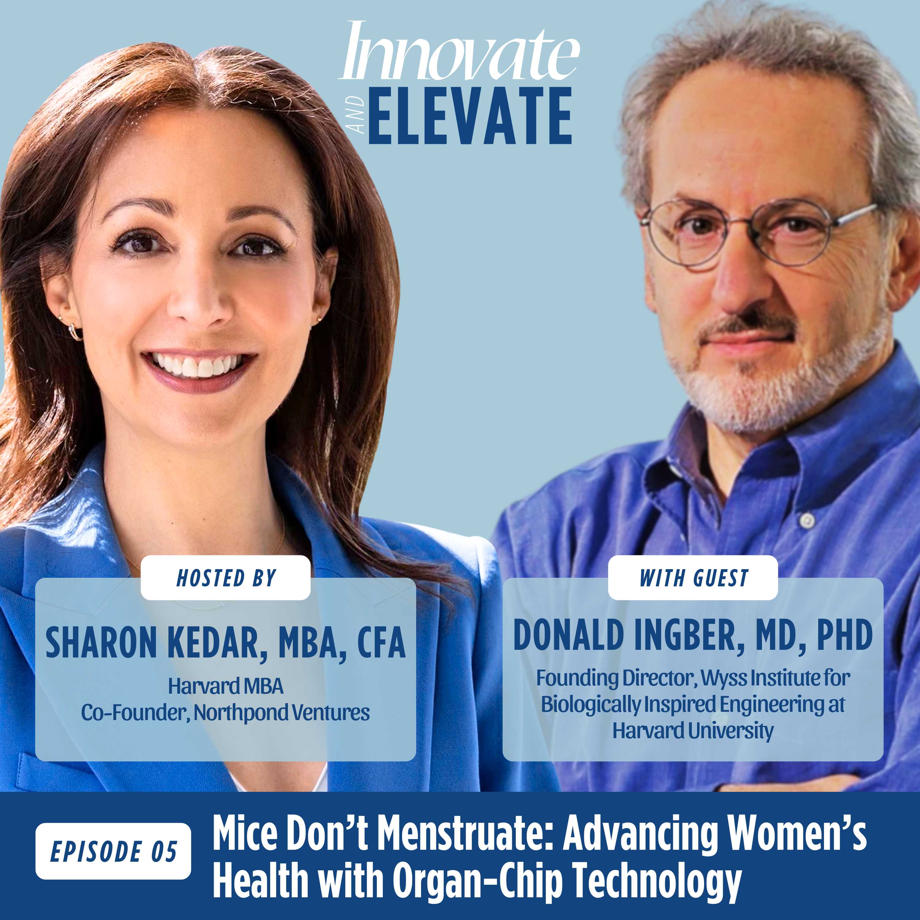 Innovate and Elevate