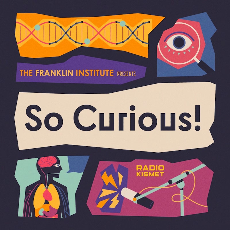 Artwork for podcast So Curious!