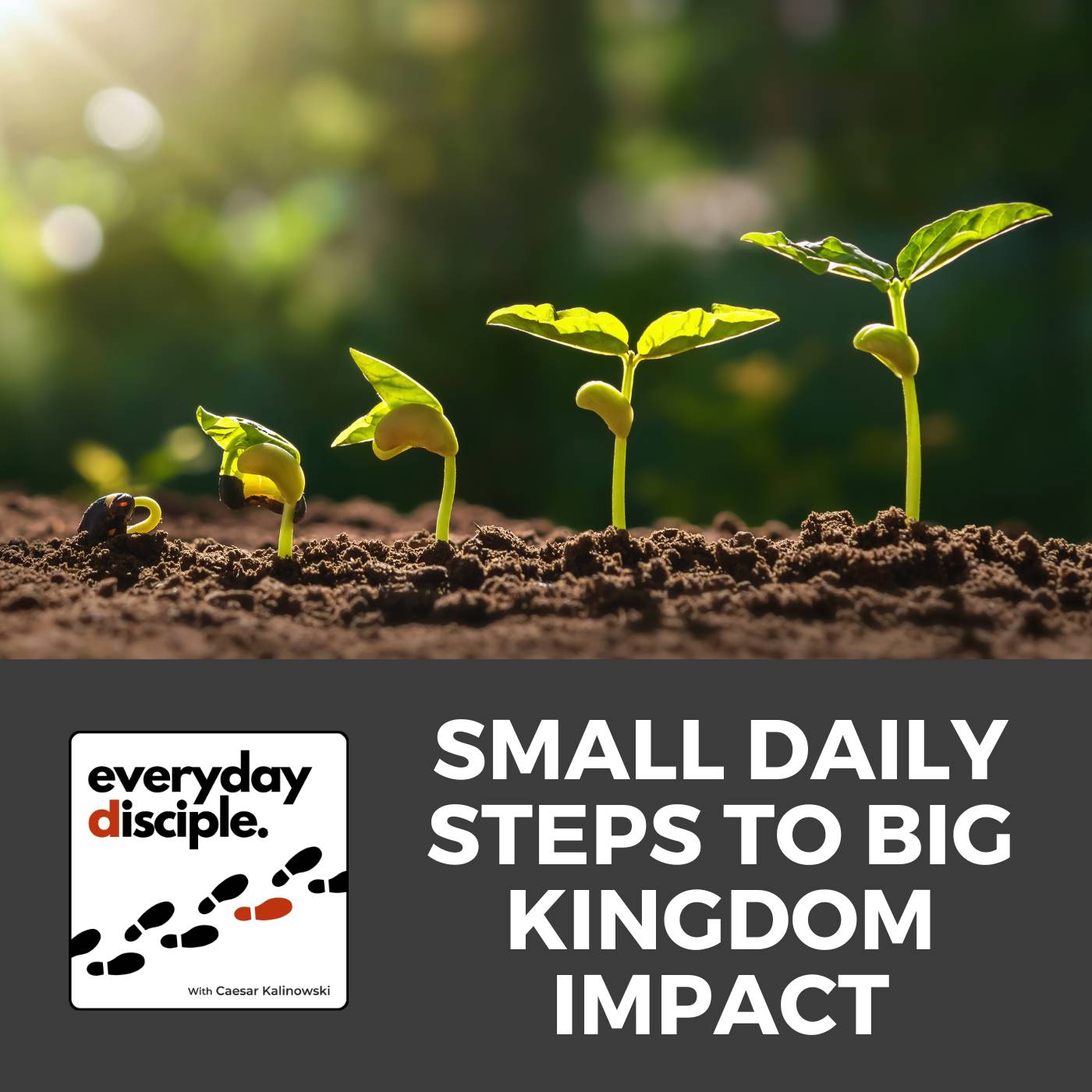 Small Daily Steps to Big Kingdom Impact