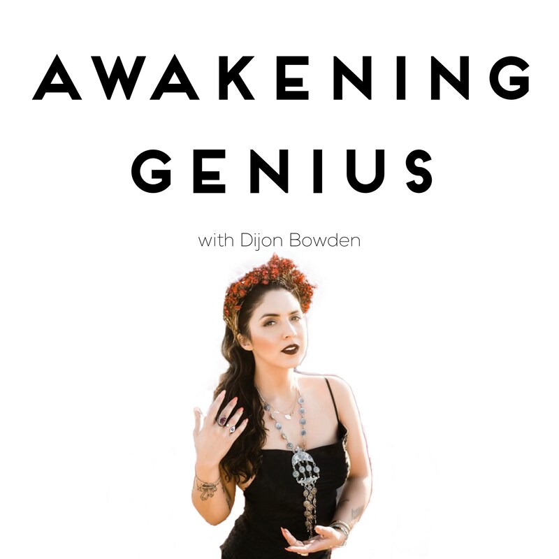 Artwork for podcast Awakening Genius