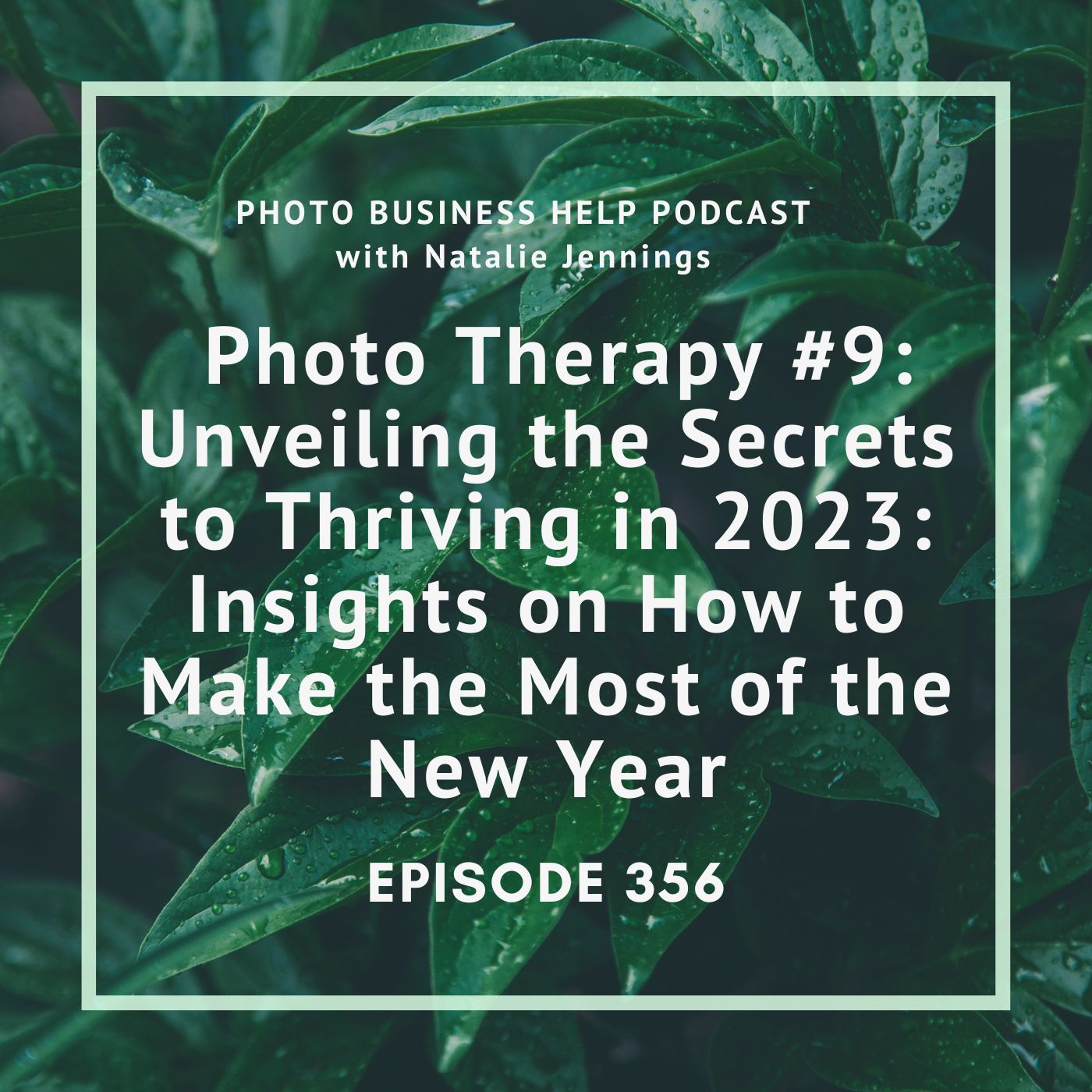 356 Photo Therapy #9 - Unveiling the Secrets to Thriving in 2023: Insights on How to Make the Most of the New Year