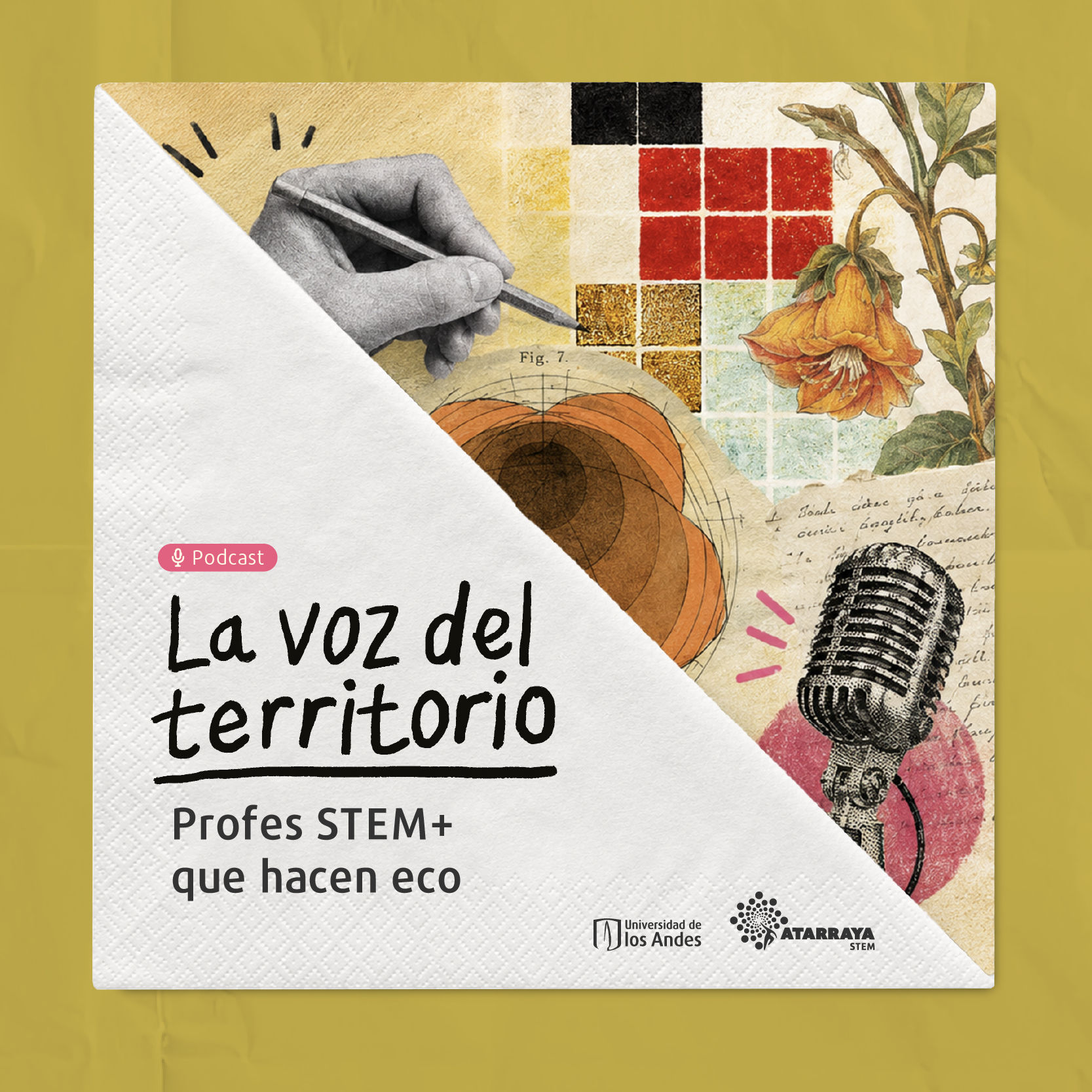 La Voz Del Territorio