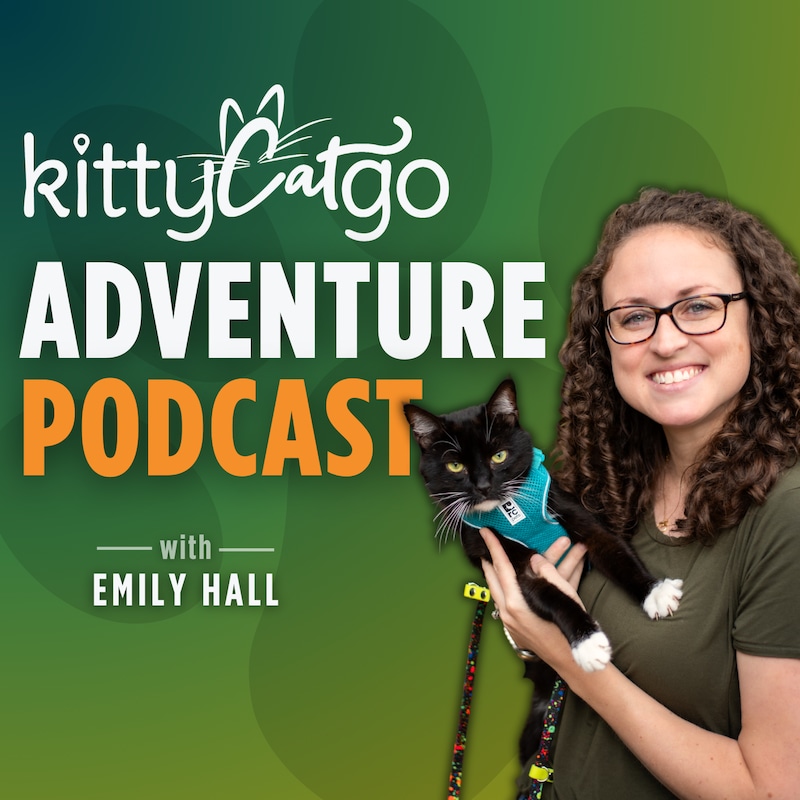 Artwork for podcast KittyCatGO Adventure Podcast: Exploring Cat Travel, Training, & Enrichment Together