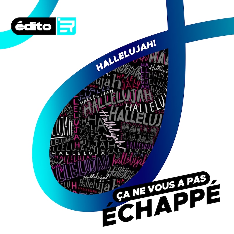 Artwork for podcast Ça ne vous a pas échappé !