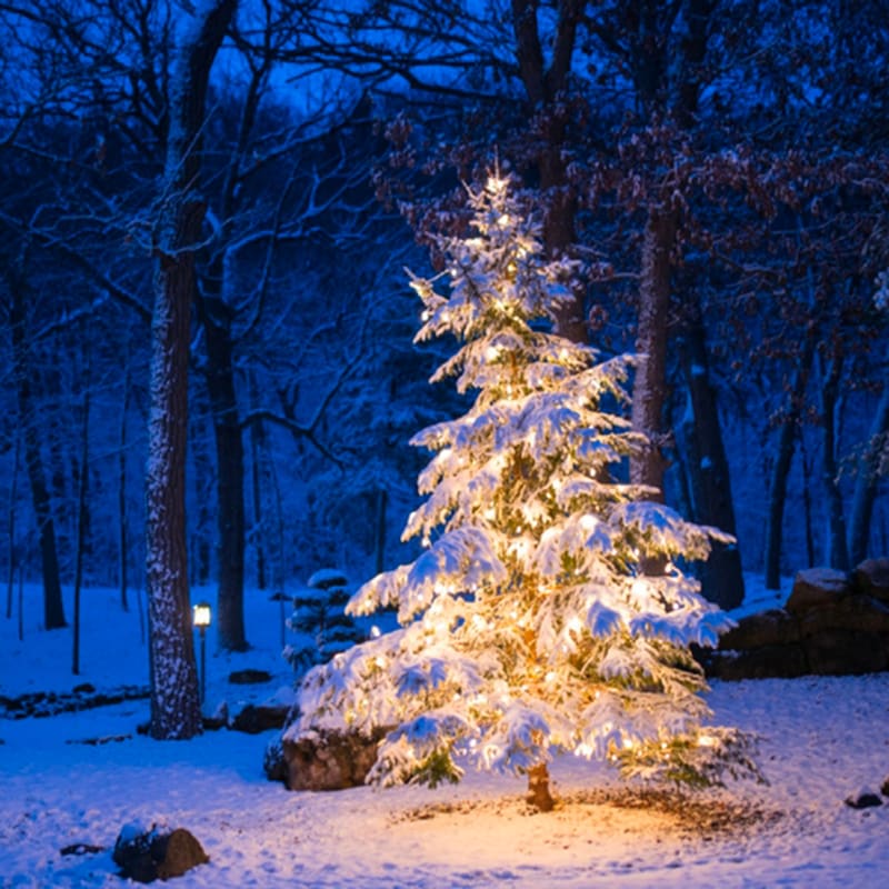 Artwork for podcast TheBigFatVoice Psicologia, Musica & Teatro