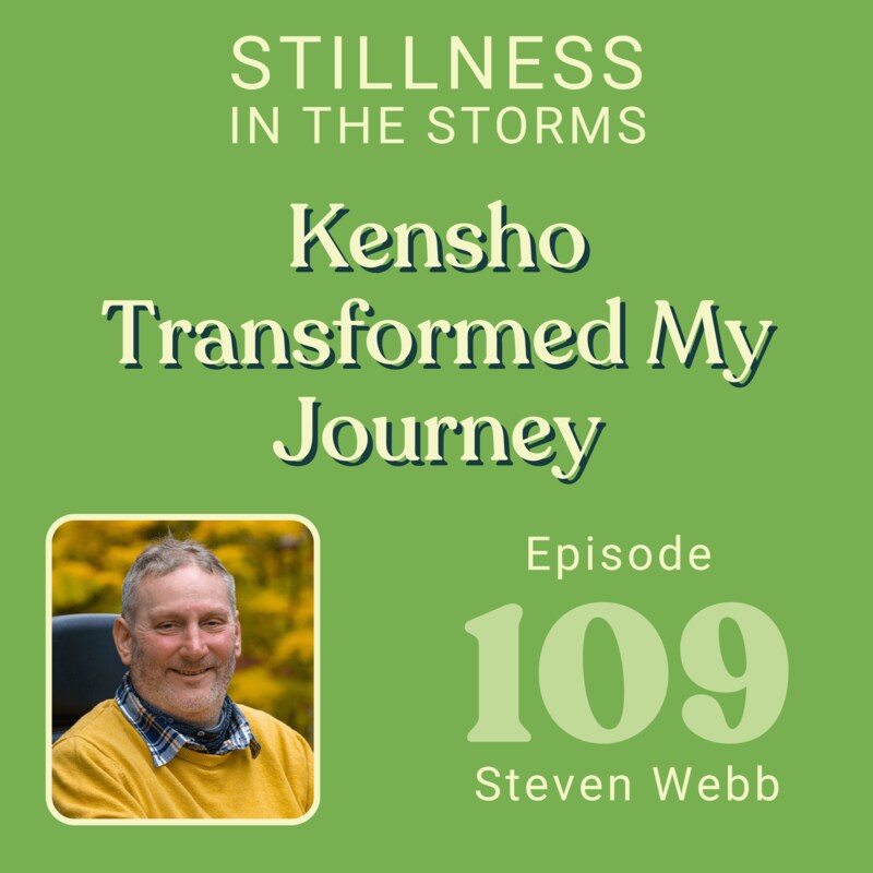 Artwork for podcast Stillness in the Storms