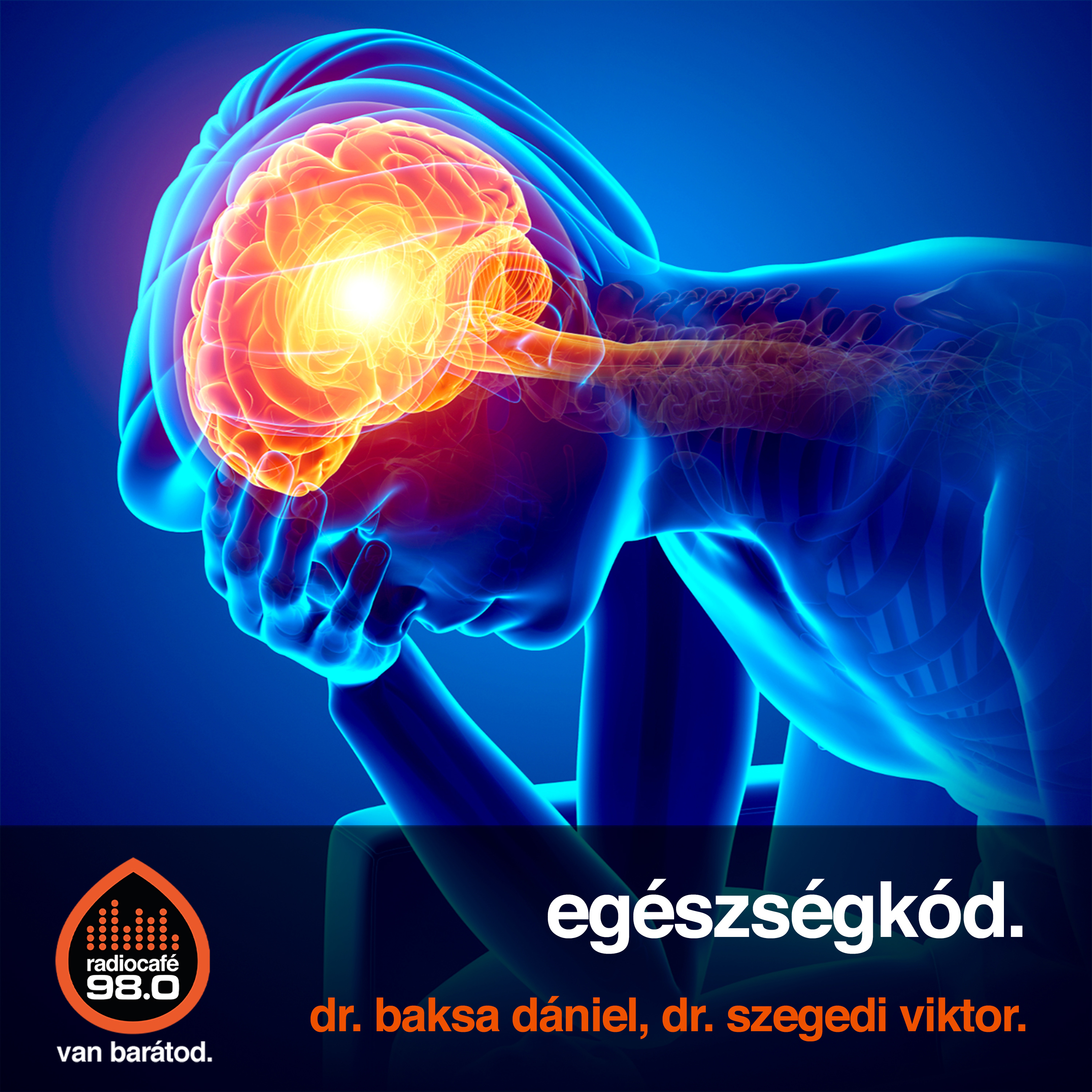 #070 - Dr. Baksa Dániel, Dr. Szegedi Viktor (2024-11-14)