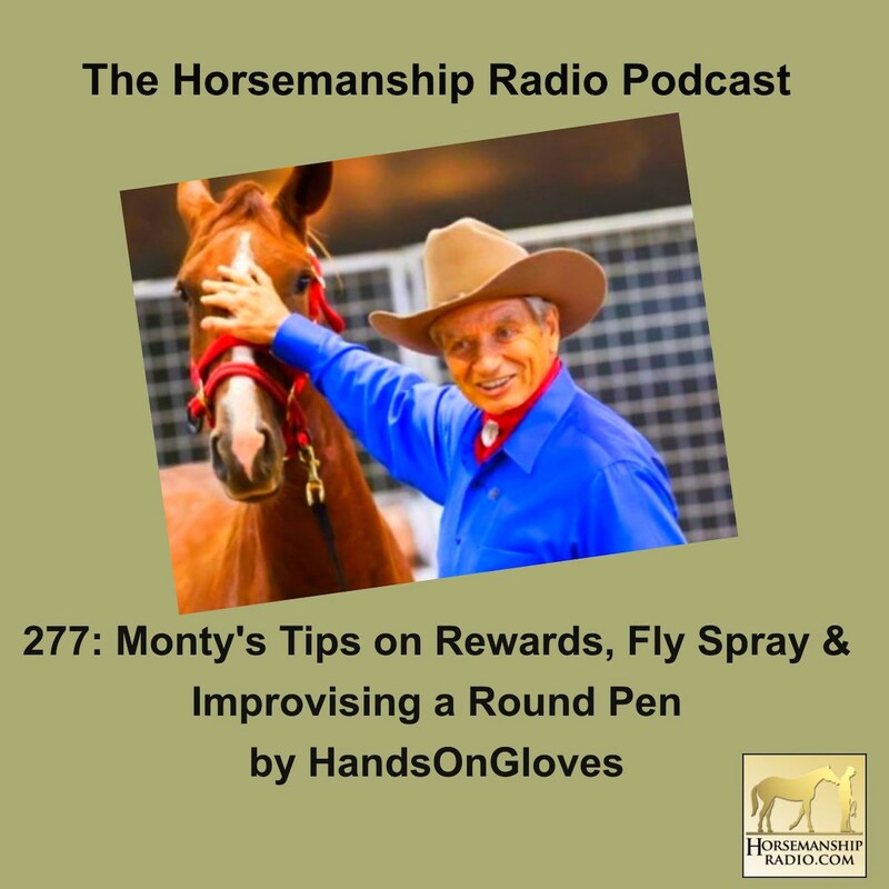 Artwork for podcast Horsemanship Radio