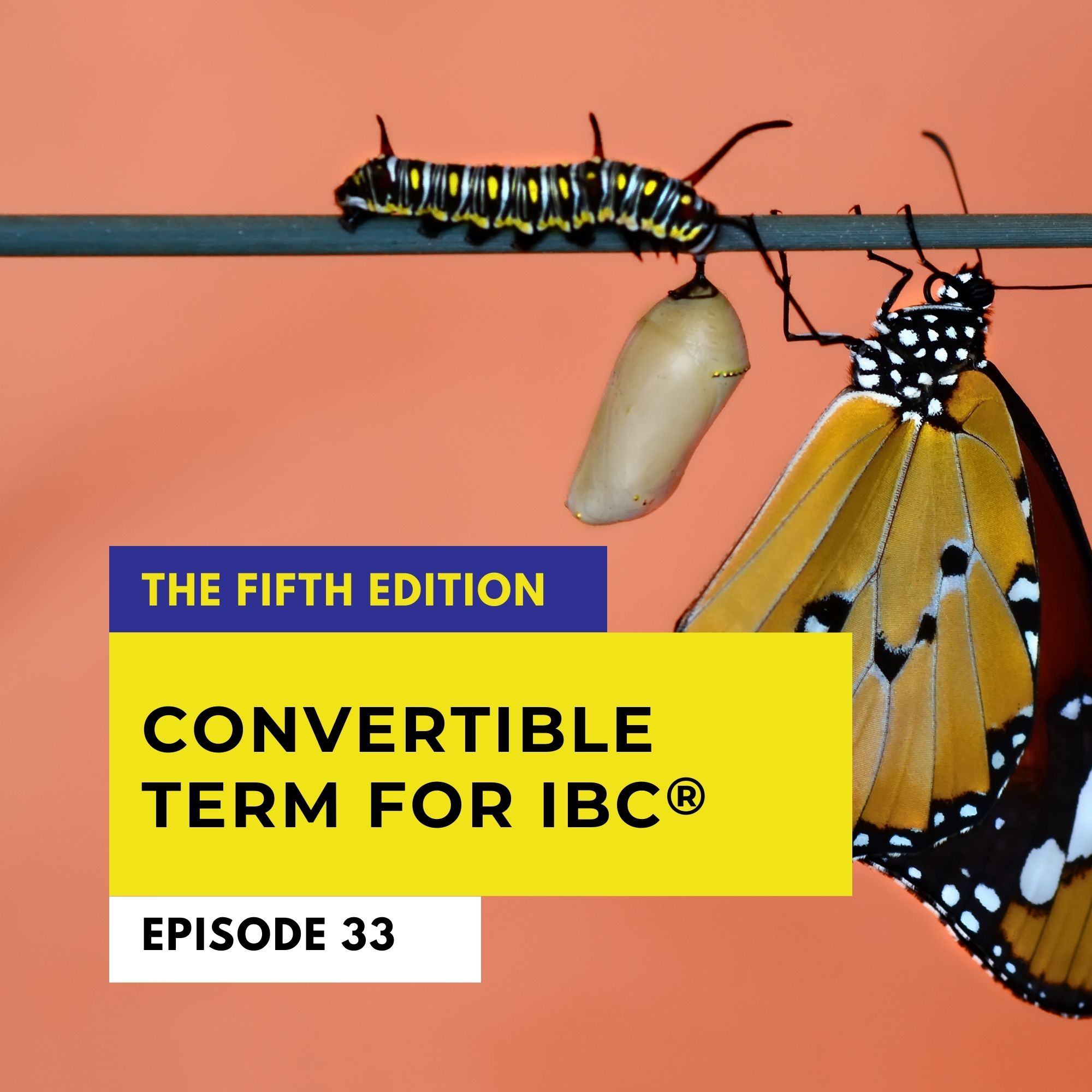 The Why and How of IBC Convertible Term