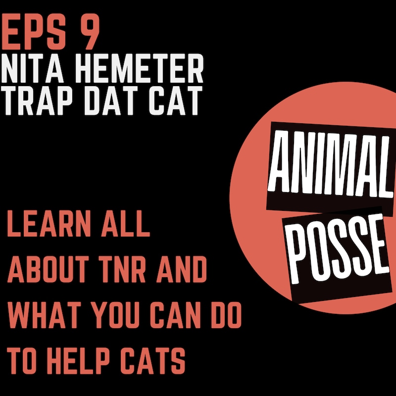 Artwork for podcast Animal Posse