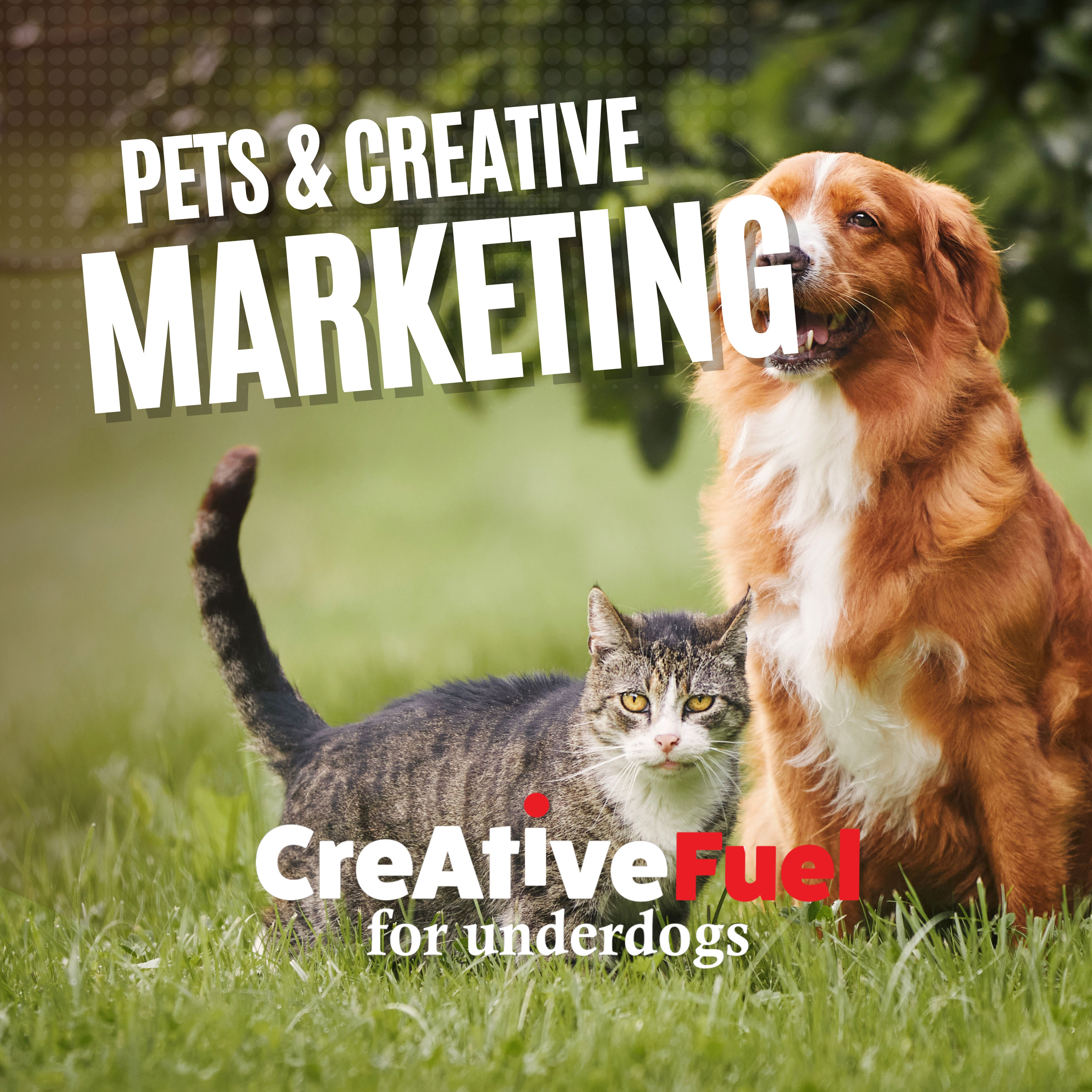 Pets & Creative Marketing | Gift of Creativity