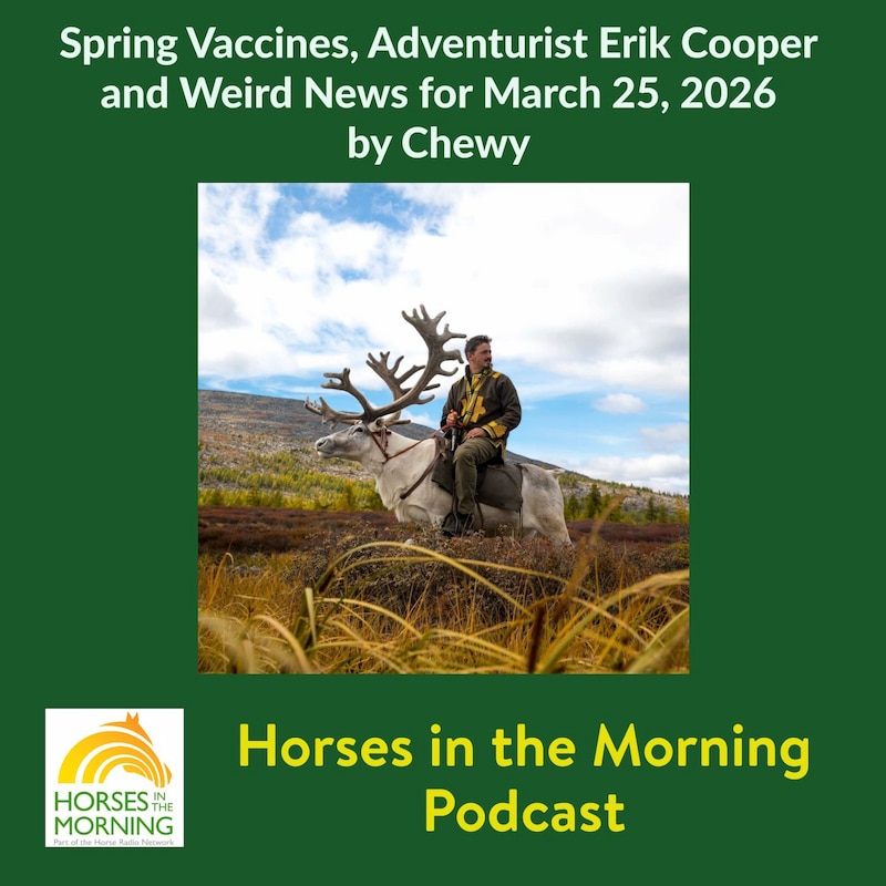 Artwork for podcast Horses in the Morning