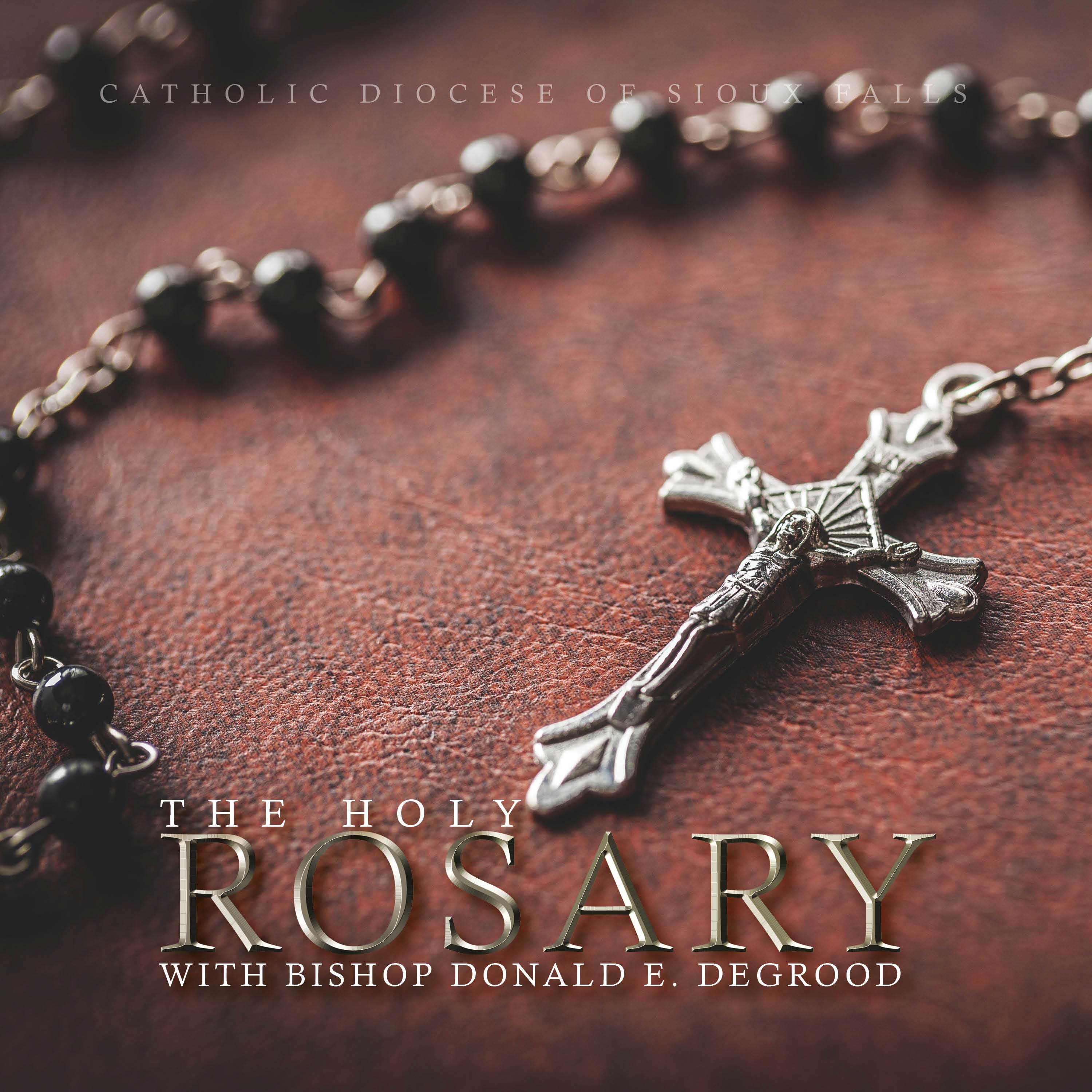 Artwork for podcast The Holy Rosary with Bishop Donald DeGrood