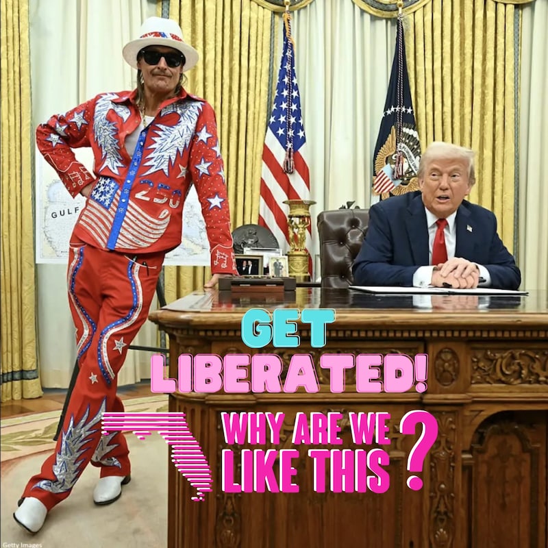 Artwork for podcast Why Are We Like This?