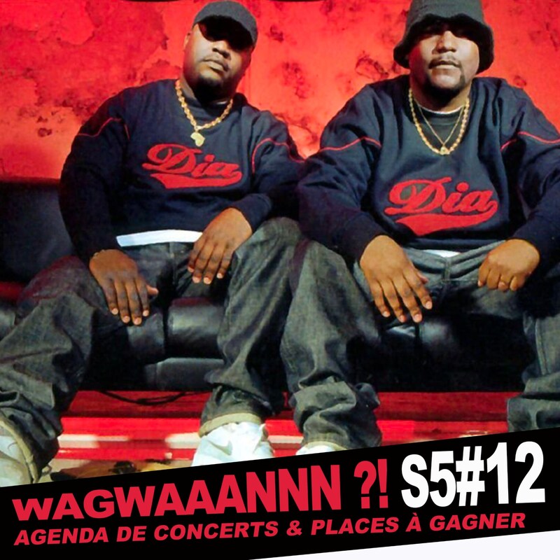 Artwork for podcast WAGWAAANNN ?!