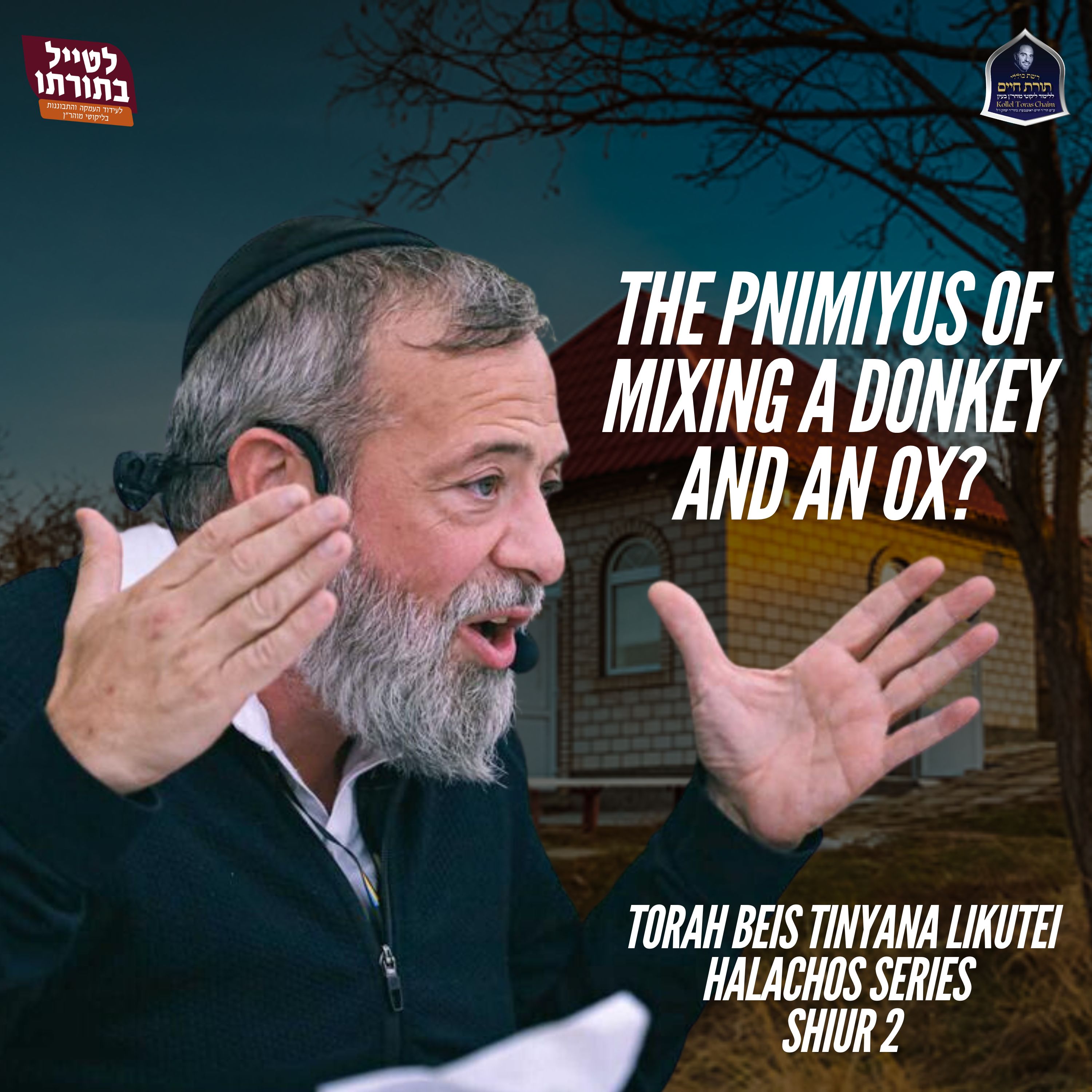 The Pnimiyus of Mixing a Donkey and an Ox