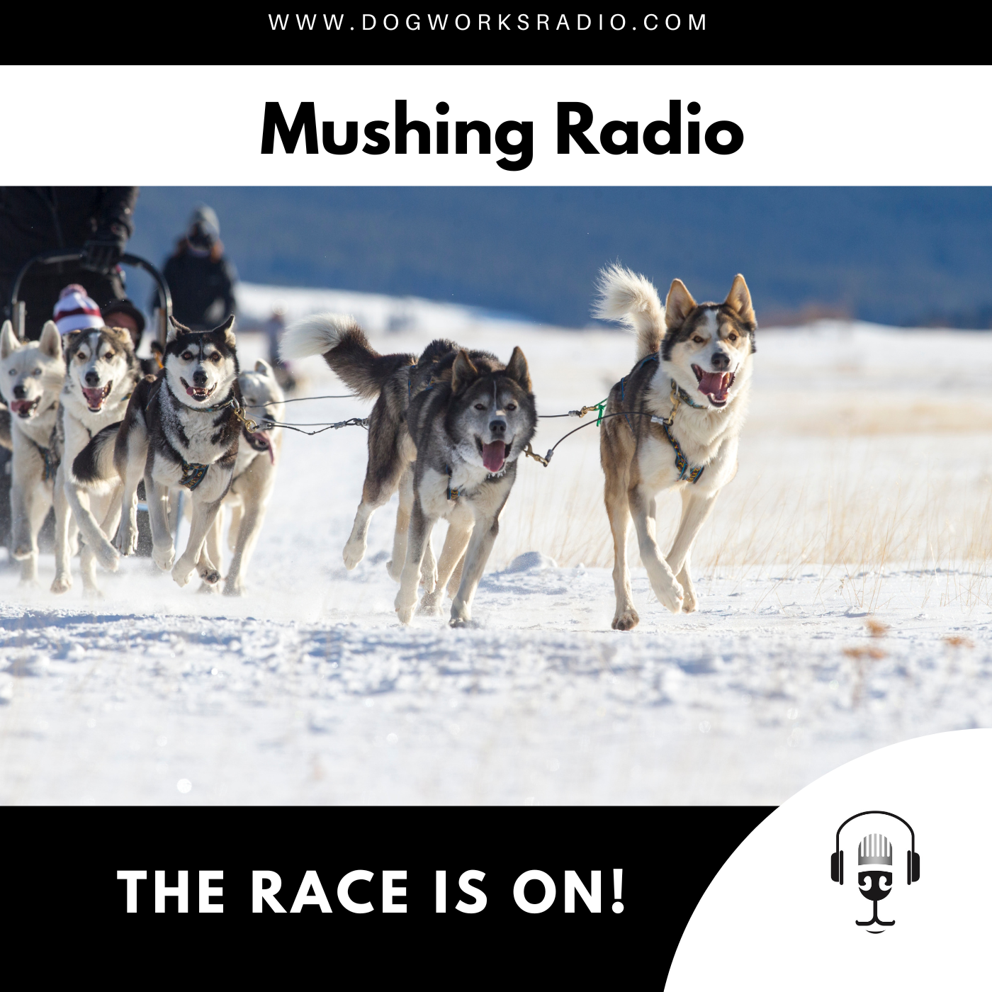The Race is On!