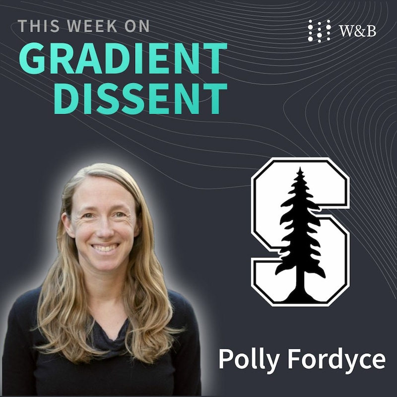 Artwork for podcast Gradient Dissent: Conversations on AI