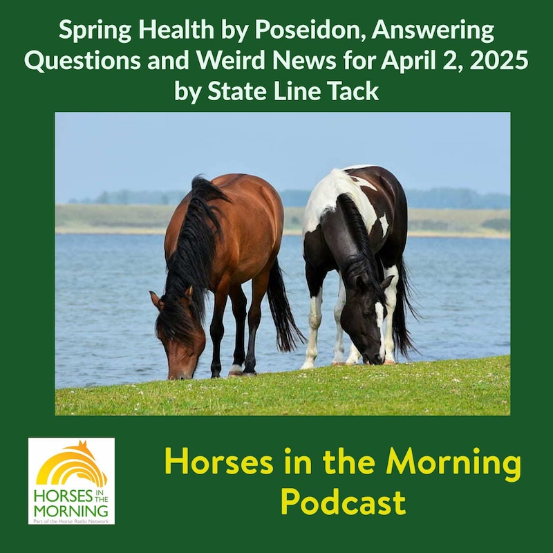 Artwork for podcast Horses in the Morning