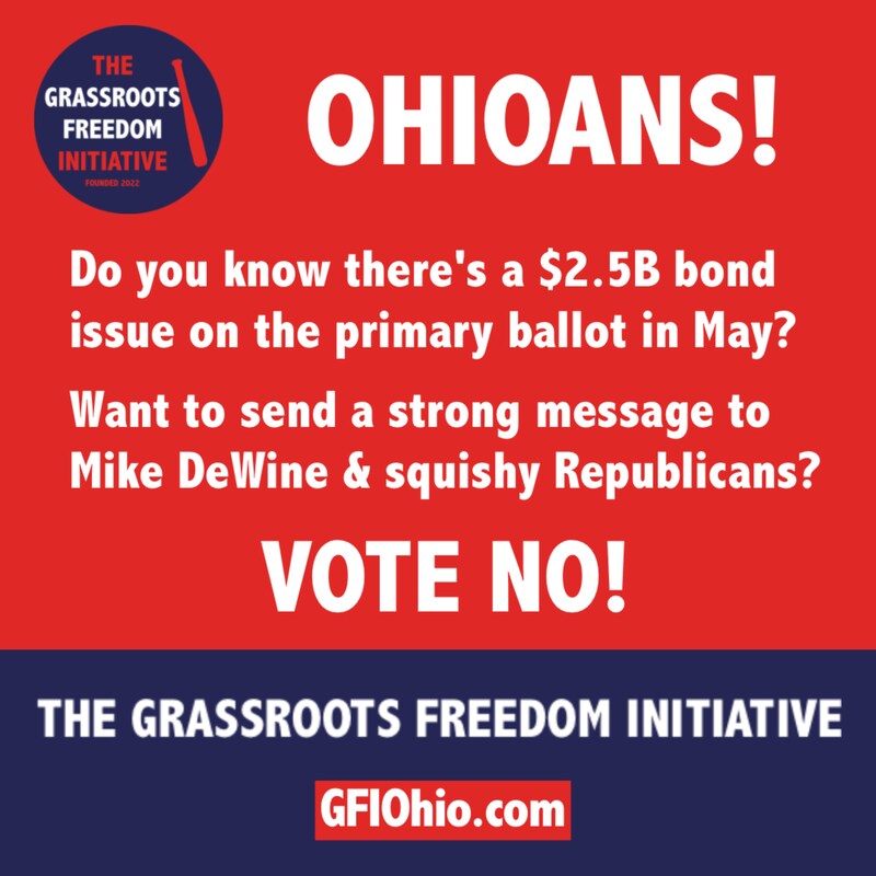 Artwork for podcast The Grassroots Freedom Initiative Podcast