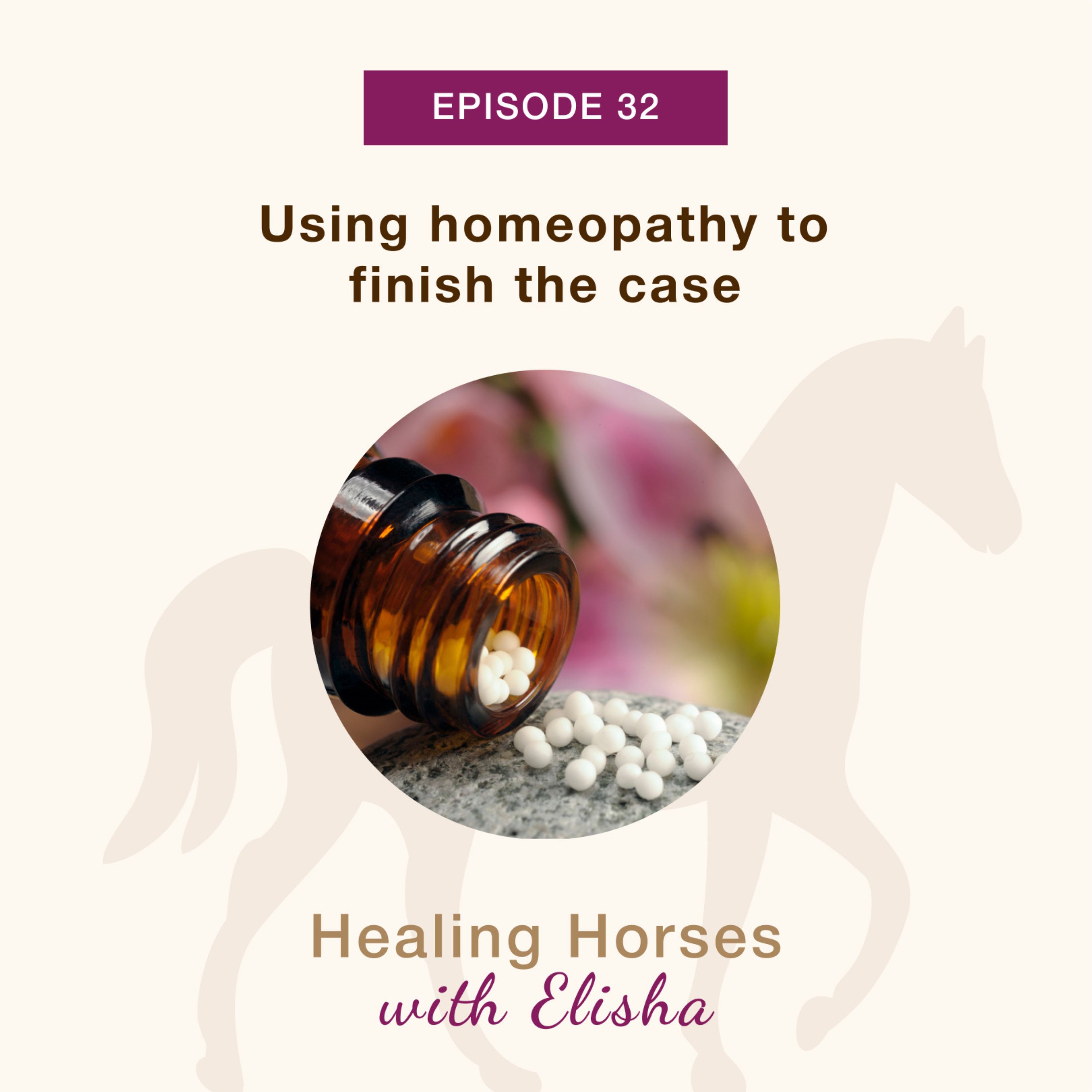 32: Using homeopathy to finish the case