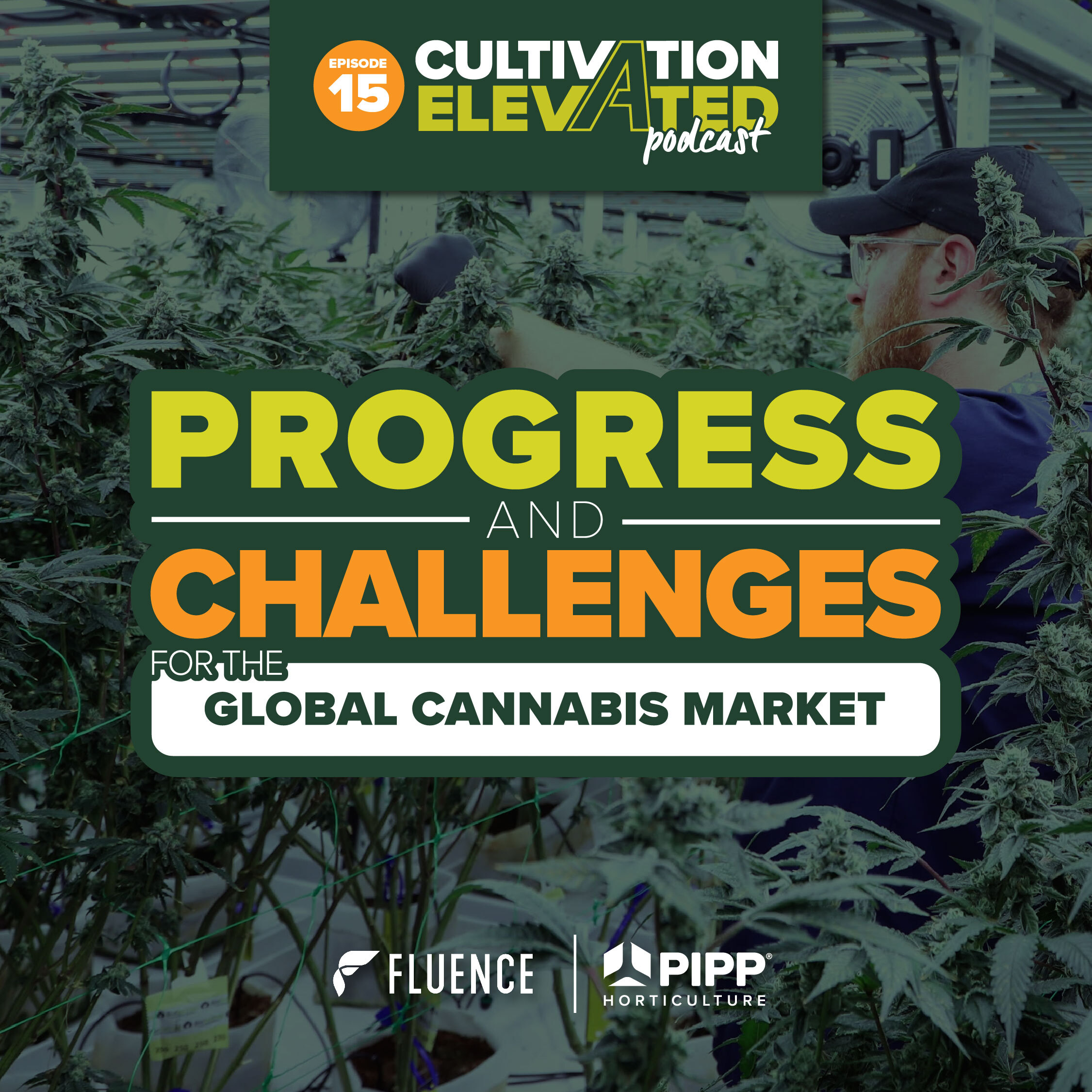 Cultivation Elevated - Indoor Farming, Cannabis Growers & Cultivators - Pipp Horticulture