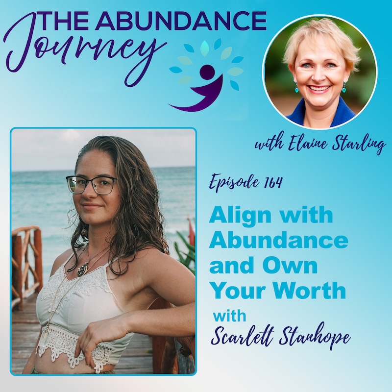 Artwork for podcast The Abundance Journey: Accelerating Revenue With An Abundance Mindset