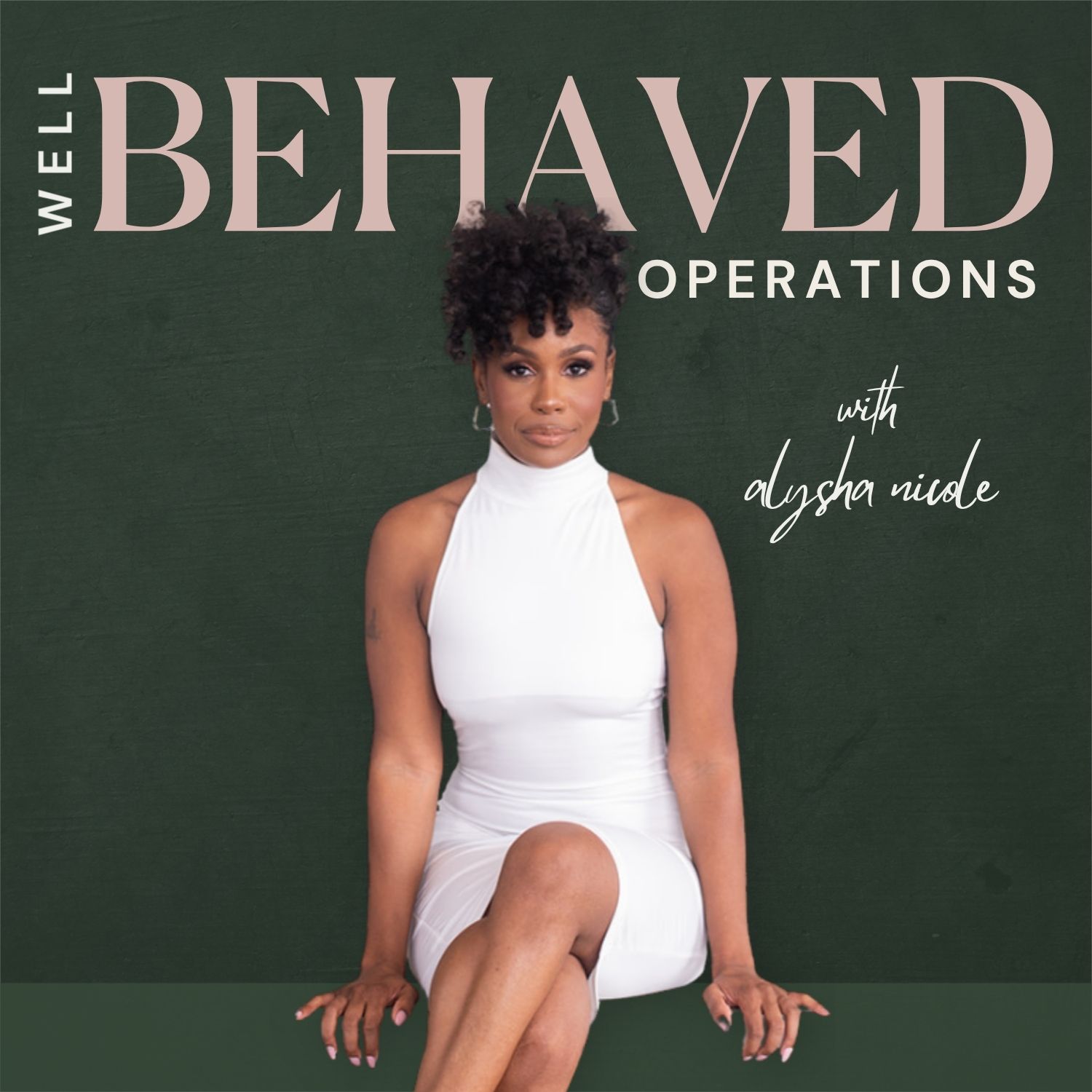 Well Behaved Operations