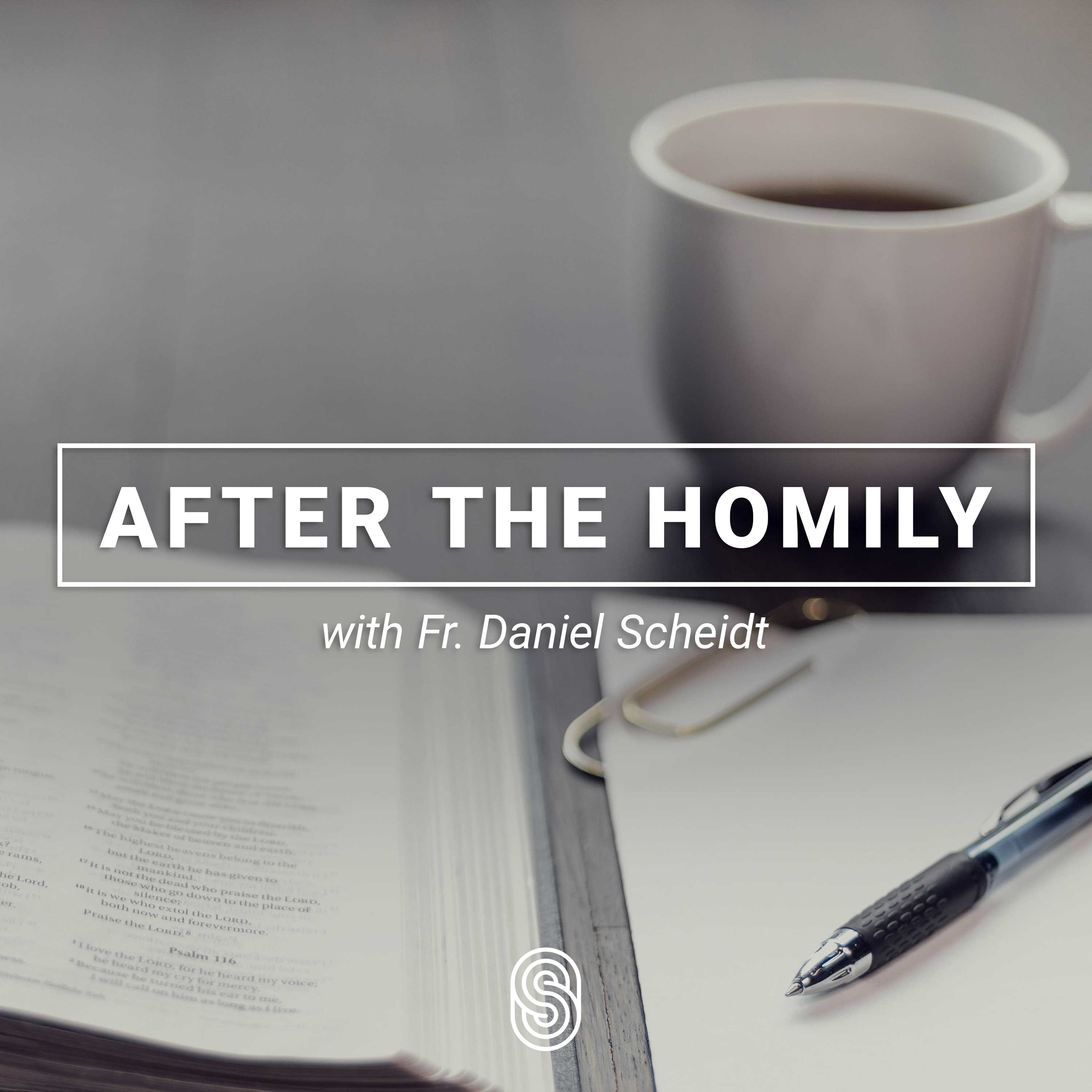 Artwork for After the Homily