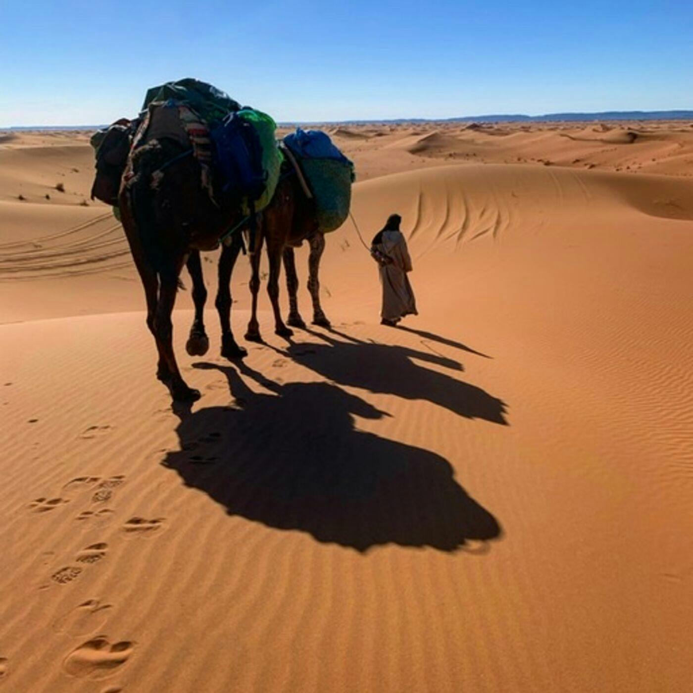 Walking with Nomads: 2,800-miles Across the Entire Length of Morocco with Explorer Alice Morrison