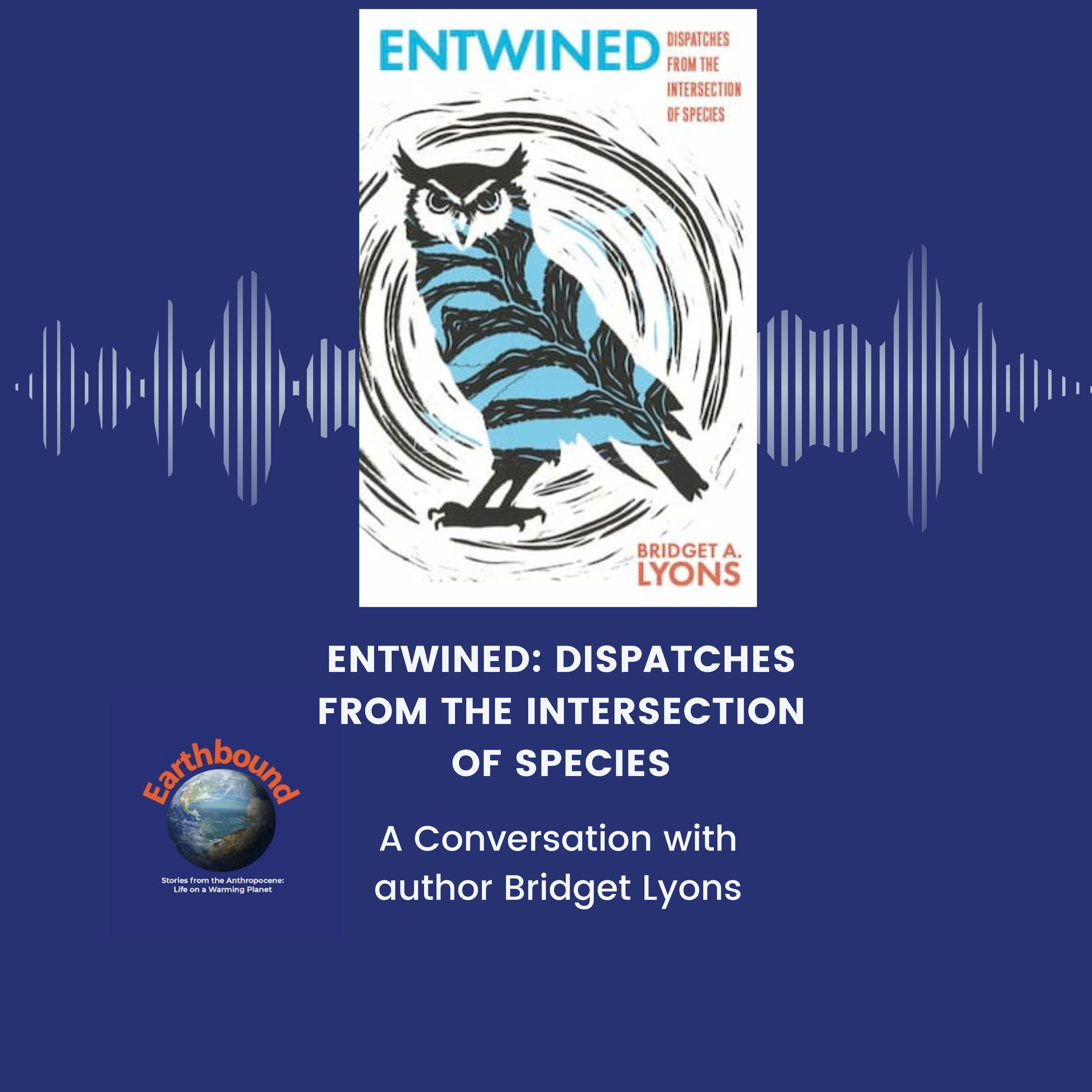 Bridget Lyons |  Entwined: Dispatches From the Intersection of Species