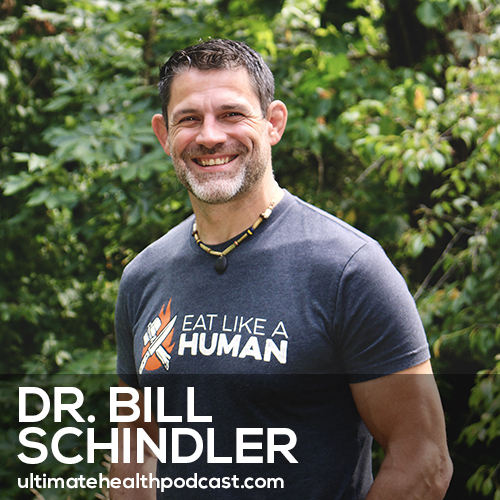 623: The Food Hacks to Remove Toxins & Unlock More Nutrients | Dr. Bill Schindler episode artwork