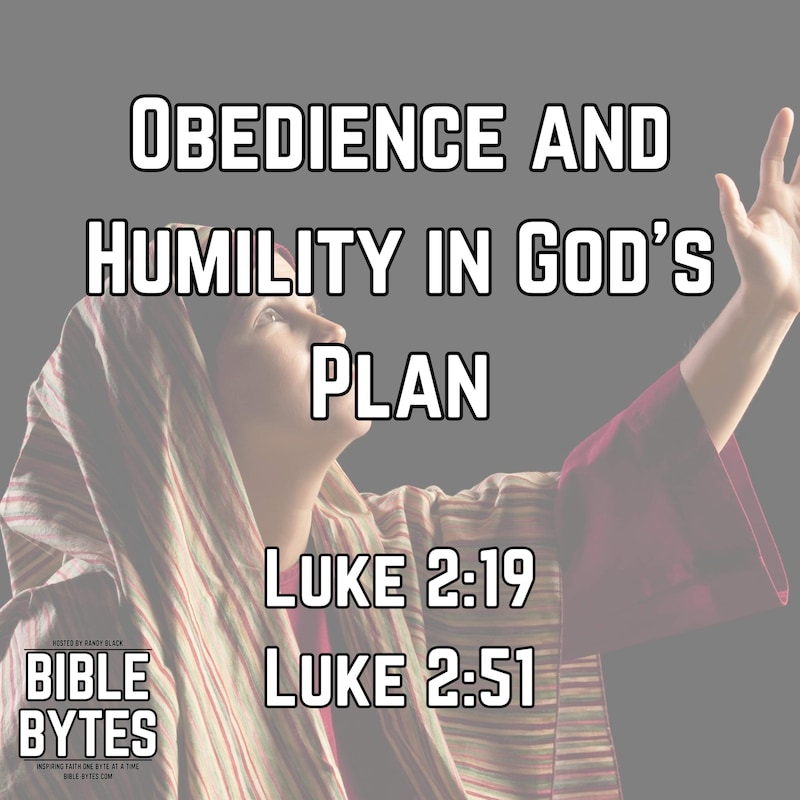 Artwork for podcast Bible Bytes