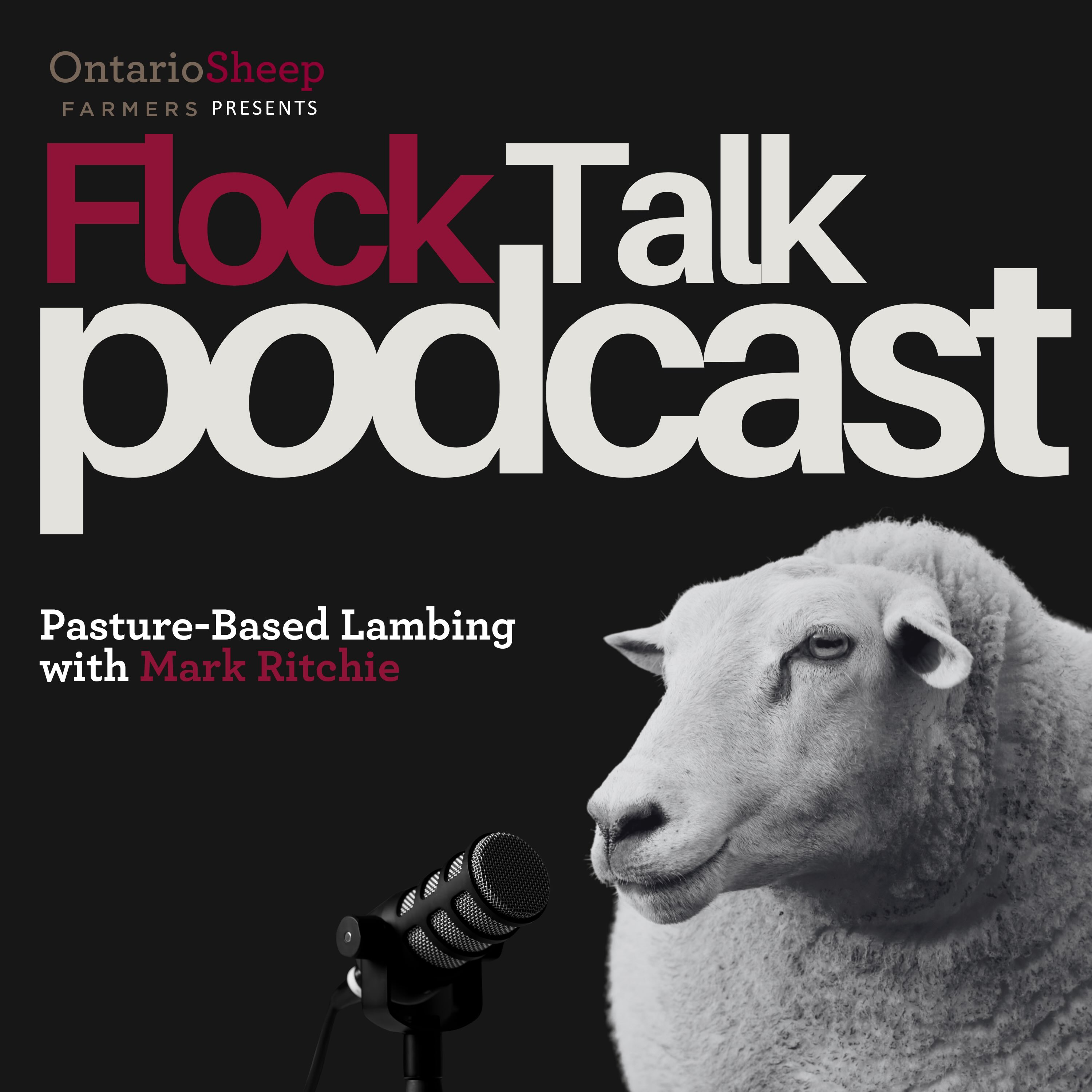 Pasture Lambing with Mark Ritchie of Footflats Farm