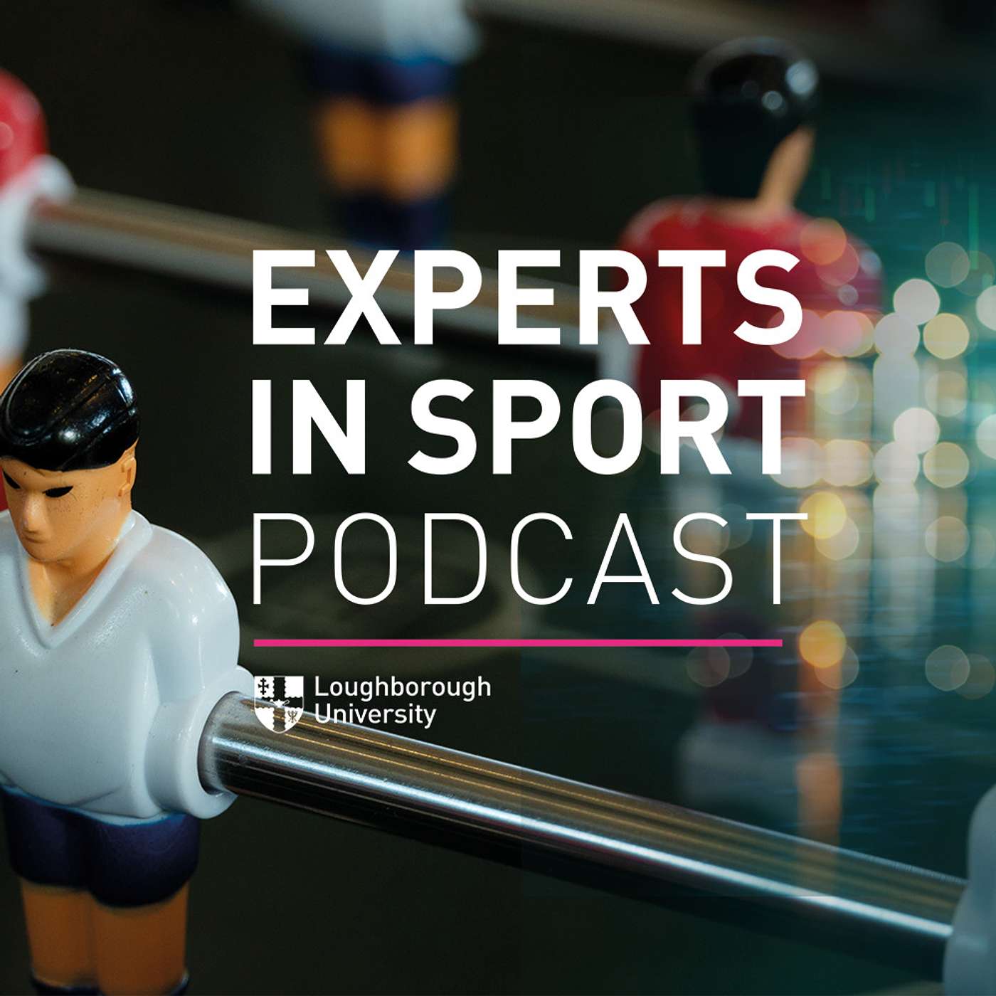 Experts in Sport