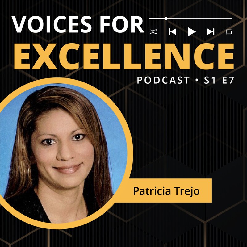 Artwork for podcast Voices for Excellence