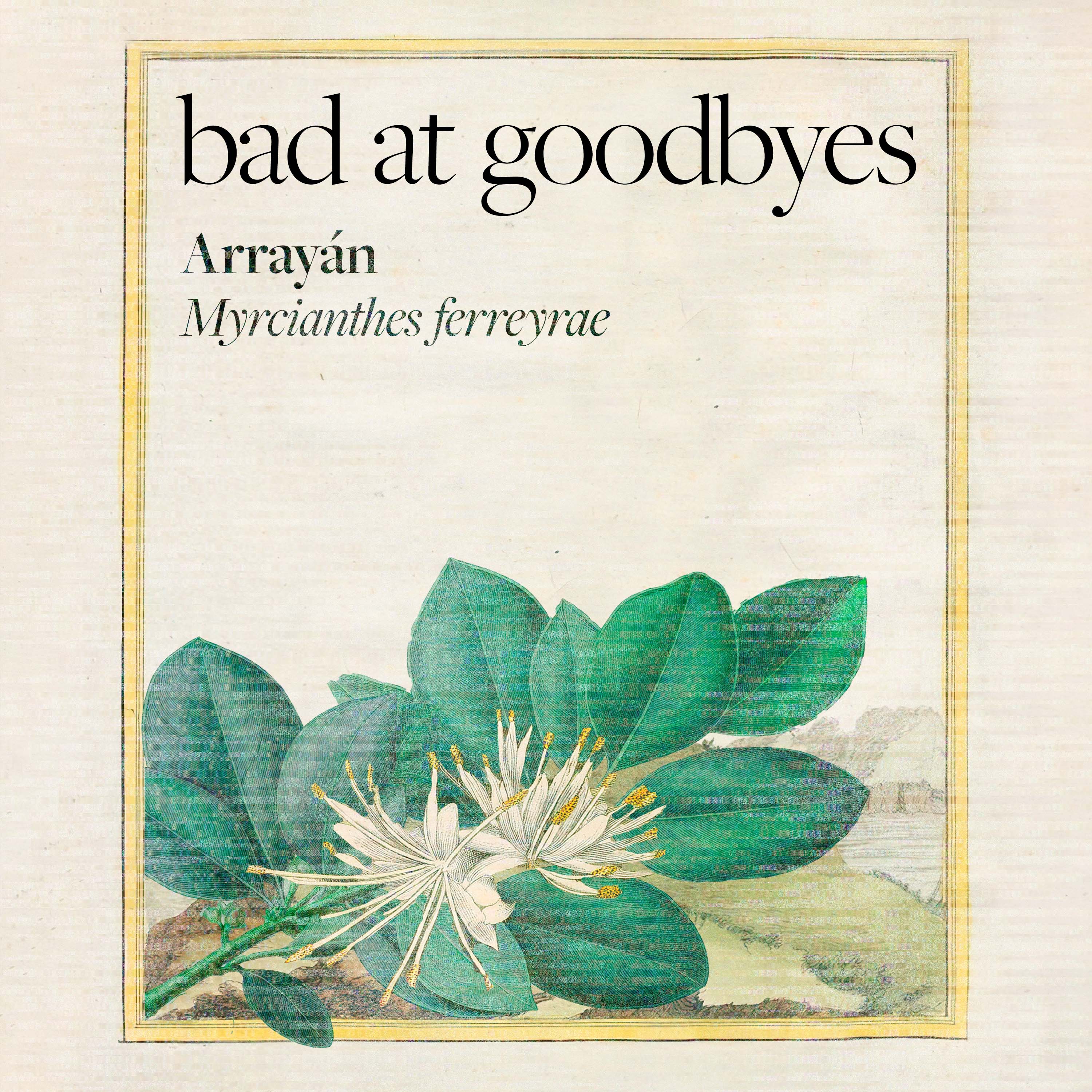 Bad at Goodbyes