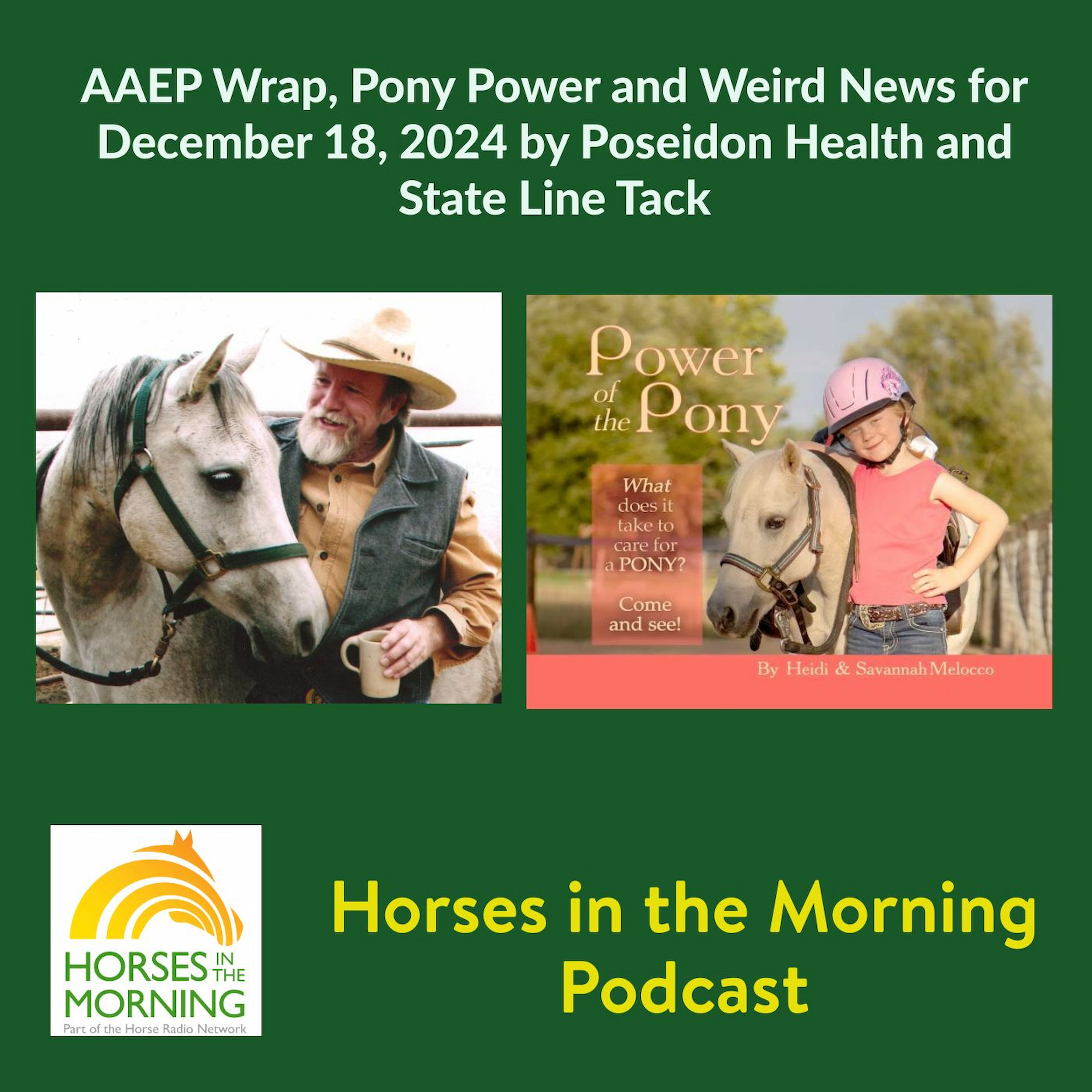 HRN Auditor Podcast