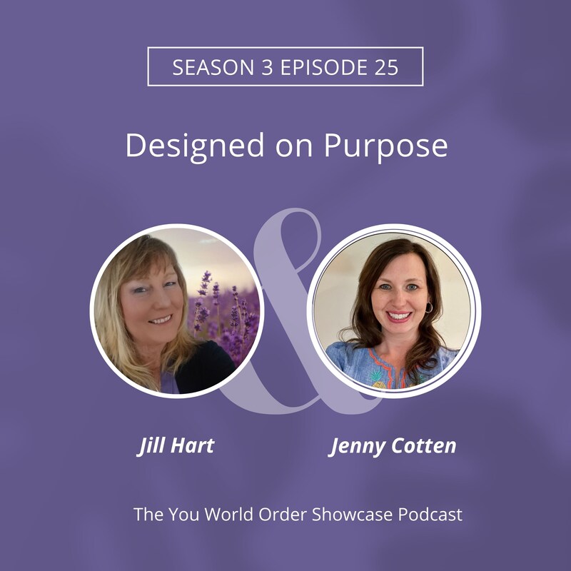 Artwork for podcast The You World Order Showcase Podcast