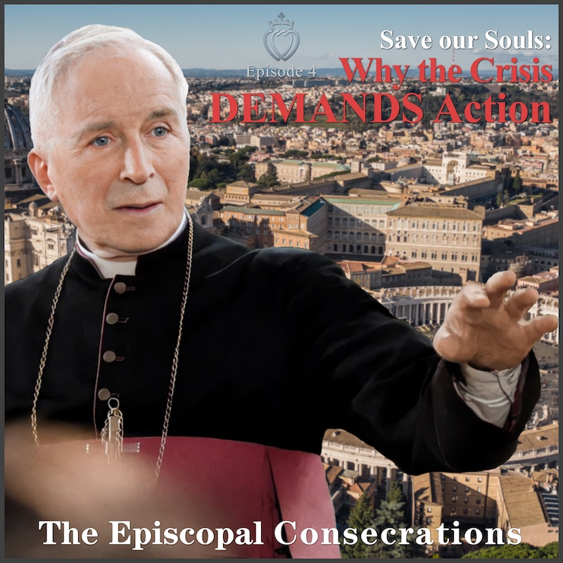 Artwork for podcast SSPX Podcast