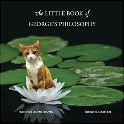 Artwork for podcast Book Lover's Companion - The English Version
