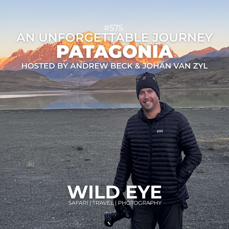 Artwork for podcast The Wild Eye Podcast