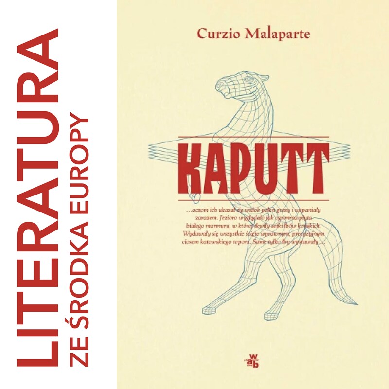 Artwork for podcast literatura ze środka Europy