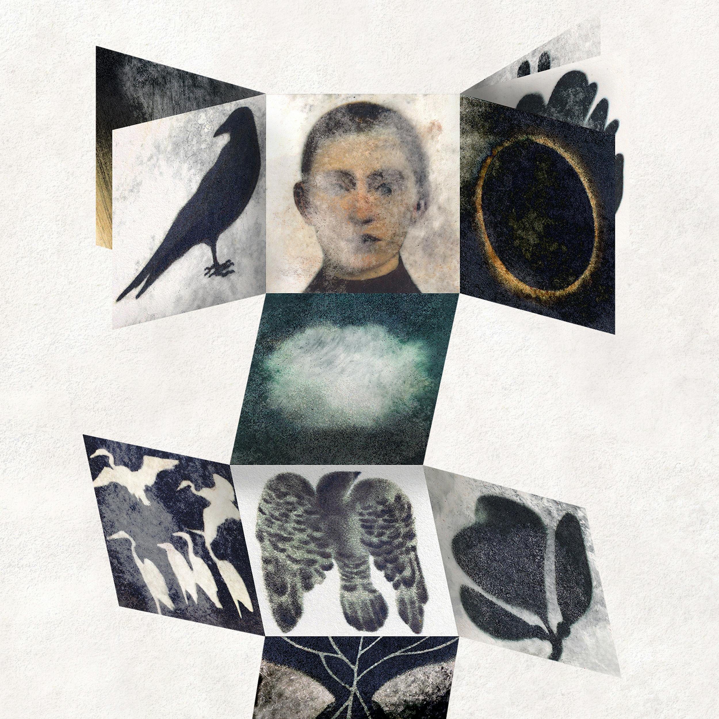 Ledgers in the Land — an Emergence Magazine Practice