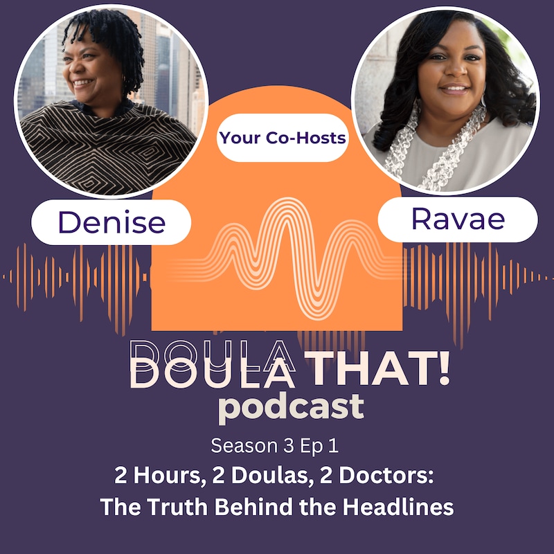 Artwork for podcast Doula That!