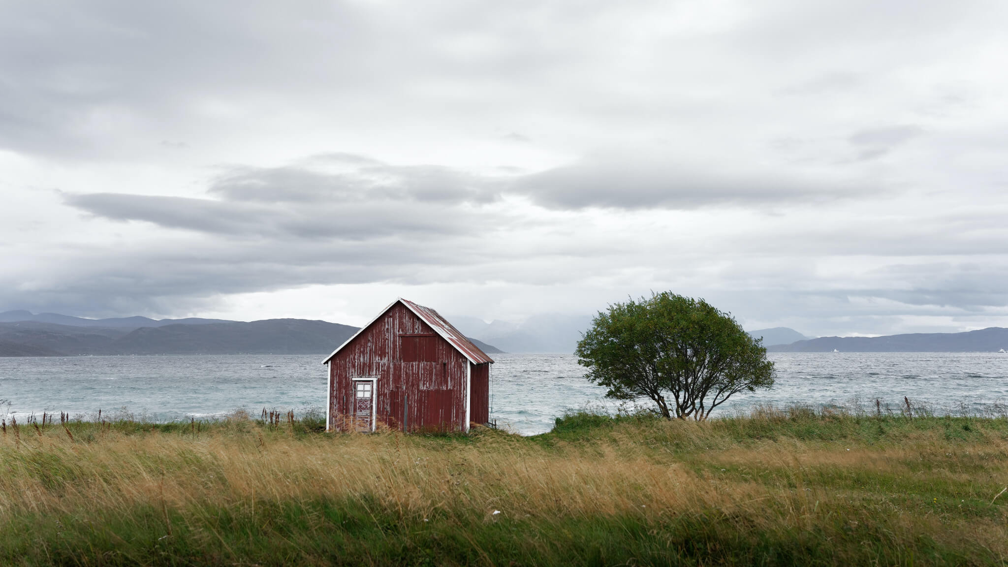 Søndagsteksten Luk 12:41-48 (2021) episode artwork