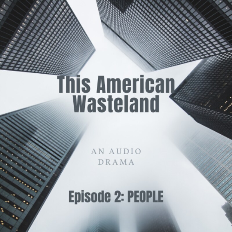 Artwork for podcast This American Wasteland