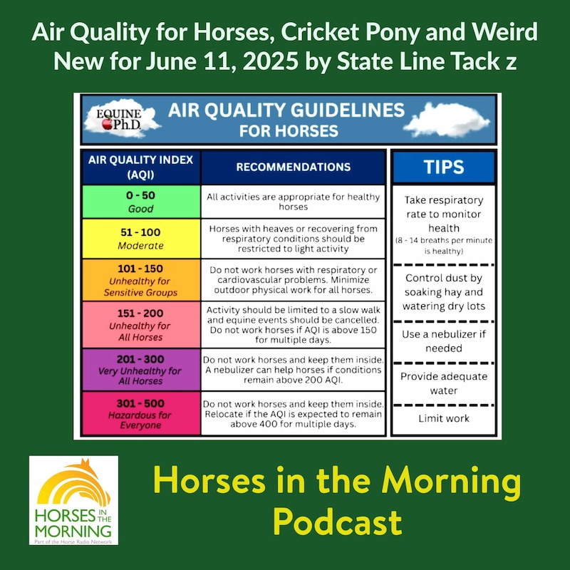 Artwork for podcast HORSES IN THE MORNING