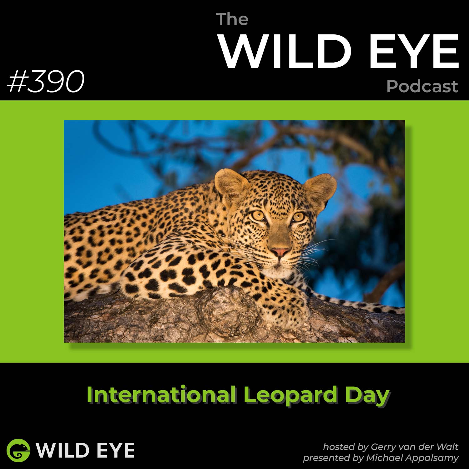 #390 - International Leopard Day